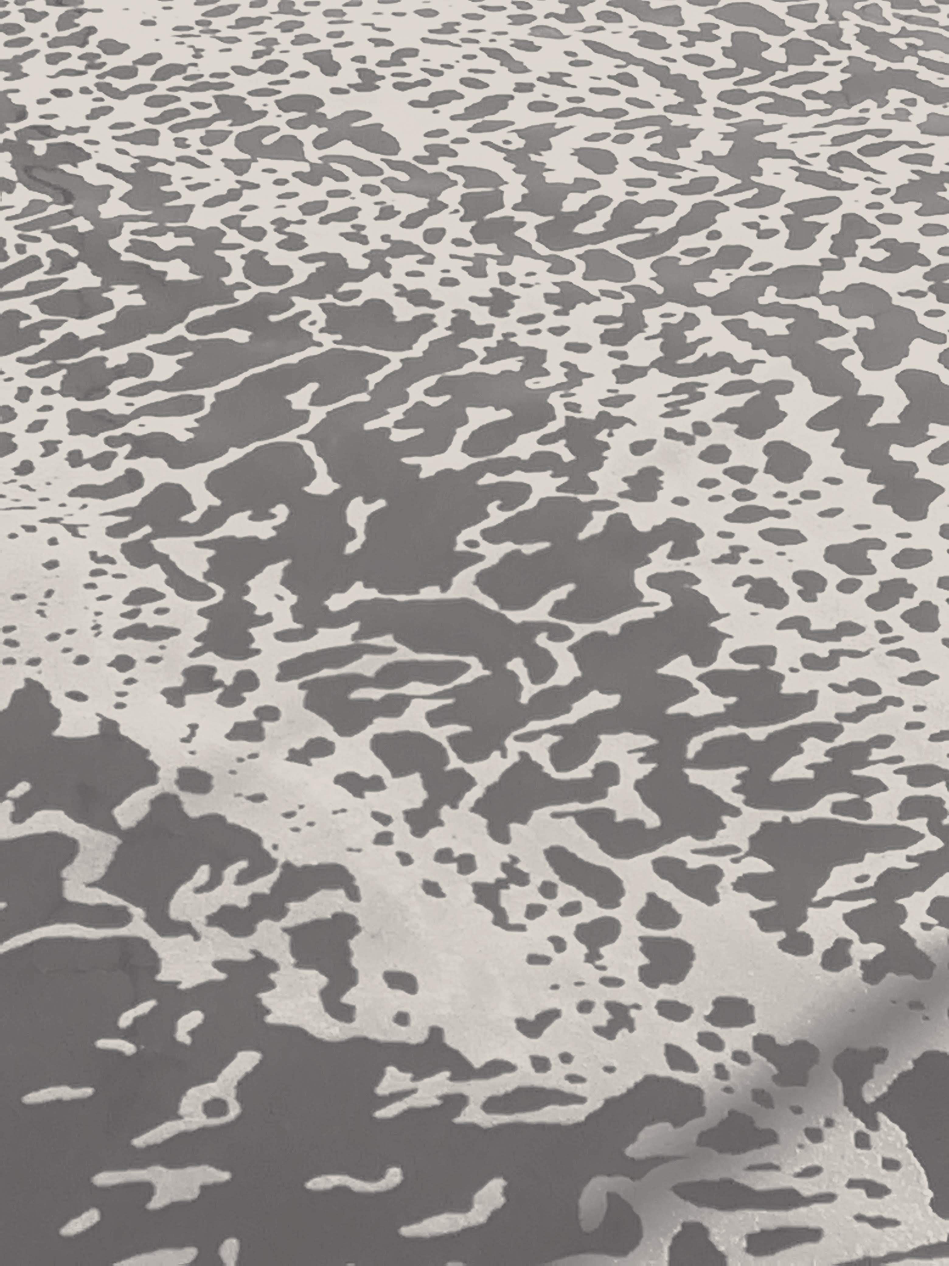 James Takagi Photography